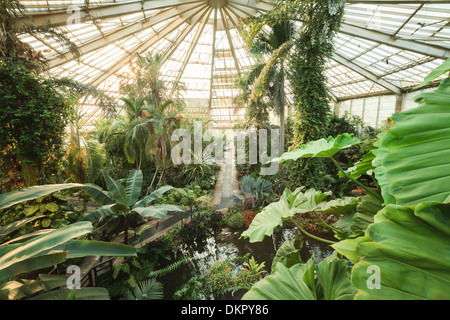 France, Alpes Maritimes, Nice, Phoenix Park, the greenhouse also called the Green Diamond 7.000m2 and 25 meters high Stock Photo