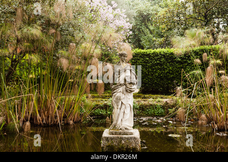 France, Menton, Serre de la Madone garden, nymph in the pond and Cyperus papyrus (use for press and book only) Stock Photo