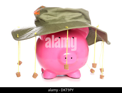 Piggy bank wearing an Australian cork hat studio cutout Stock Photo