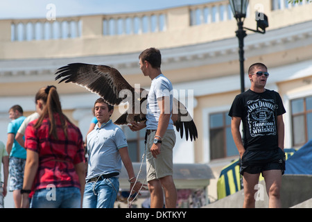 Hustler on the Potemkin Stairs in Odessa selling tourists the opportunity to have a photograph taken with an eagle. Stock Photo