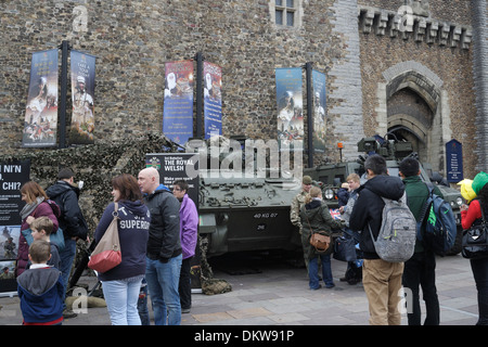 The Royal Welsh 3rd Battalion Regiment of the British Army outside Cardiff Castle Stock Photo