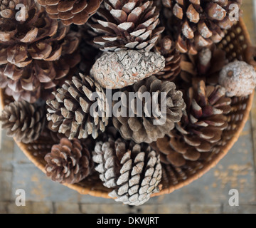 Group of pine cones in basket Stock Photo