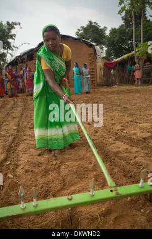 A woman uses a line scoring rake to farm in Bihar, India. Stock Photo