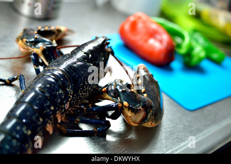 Lobster Stock Photo