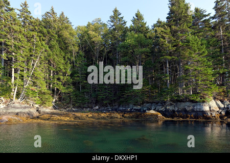 Scenic Maine, Roque Island Archipelago, Down East, Maine Stock Photo