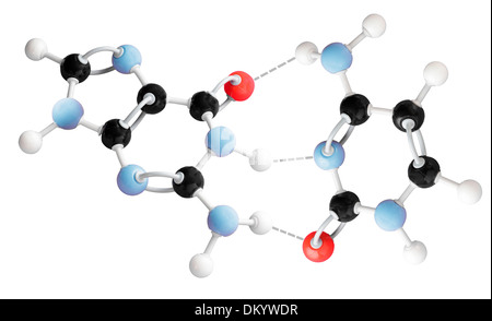 molecule model showing Cytosine-guanine interaction Stock Photo