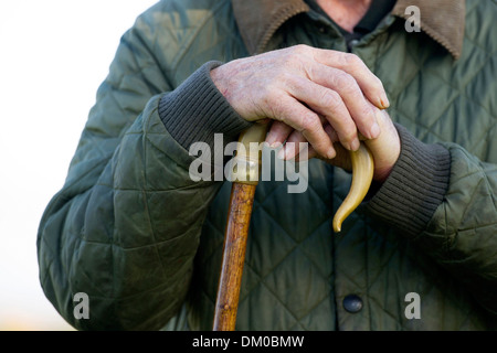 A farmer rests his hands on a walking stick while herding sheep. Stock Photo