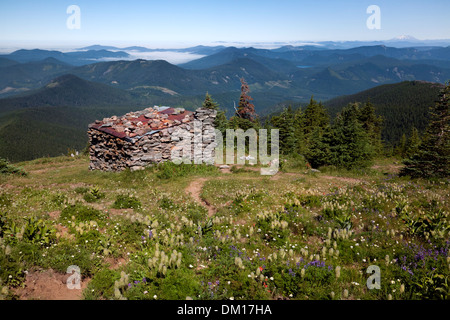 OREGON - McNeil Point Stone Shelter located in a wildflower covered meadow with Mount St. Helens in the distance. Stock Photo