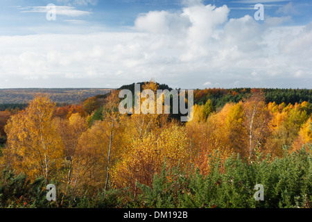 The Forest of Dean in Autumn, seen from New Fancy View. Gloucestershire. England. UK. Stock Photo