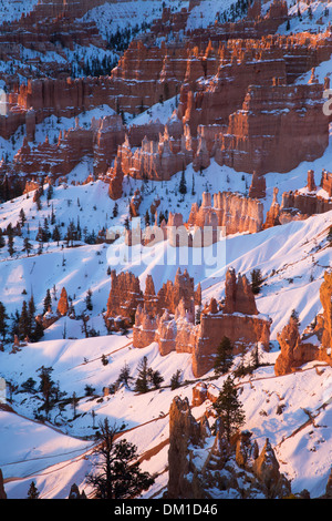 the hoodoos in winter, Bryce Canyon, Utah, USA Stock Photo