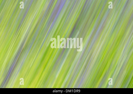 Umbria colours, Italy Stock Photo