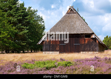 Sheepfold / sheep cote at the Lüneburg Heath / Lunenburg Heathland in summer with heather flowering, Lower Saxony, Germany Stock Photo