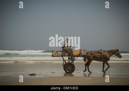 Horse -drawn cart on Yaf Beach - Dakar, Senegal. Stock Photo