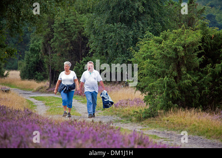 Elderly couple walking through the Lüneburg Heath / Lunenburg Heathland in summer with heather flowering, Lower Saxony, Germany Stock Photo