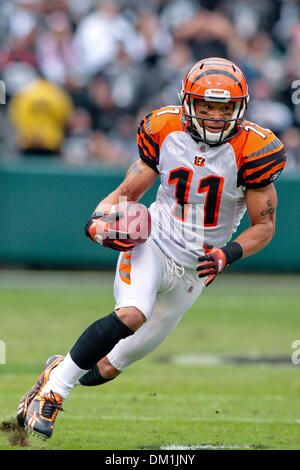 Cincinnati Bengals receiver Laveranues Coles (11) during practice