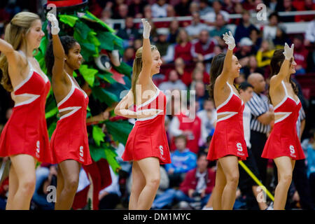 Stanford Cheerleaders during game action at Maples Pavilion in Stock ...