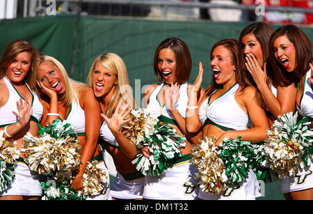 South Florida cheerleaders during the first half of the game between the South Florida Bulls and the Miami Hurricanes being played at Raymond James Stadium in Tampa, Florida. (Credit Image: © Chris Grosser/Southcreek Global/ZUMApress.com) Stock Photo