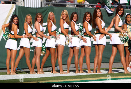 South Florida cheerleaders during the first half of the game between the South Florida Bulls and the Miami Hurricanes being played at Raymond James Stadium in Tampa, Florida. (Credit Image: © Chris Grosser/Southcreek Global/ZUMApress.com) Stock Photo