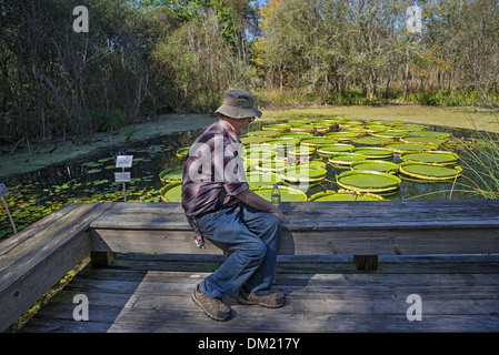 Kanapaha Botanical Gardens Gainesville Florida. Stock Photo