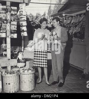 DWAYNE HICKMAN.The Many Loves of Dobie Gillis.Supplied by Photos, inc.(Credit Image: © Supplied By Globe Photos, Inc/Globe Photos/ZUMAPRESS.com) Stock Photo