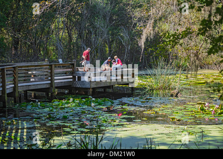 Kanapaha Botanical Gardens Gainesville Florida. Stock Photo