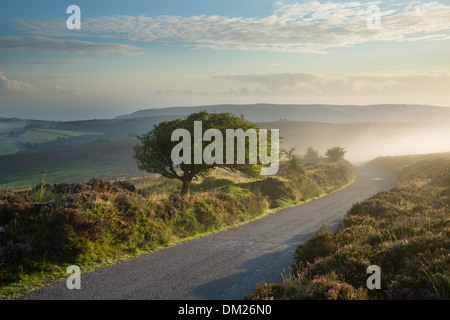 the road over Stoke Pero Common, Dunkery Hill, Exmoor National Park, Somerset, England, UK