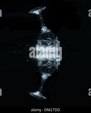 Smashing wine glasses on a reflective dark black background broken glass fragments flying as fracture lines spread through Stock Photo