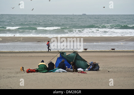 tent campers overnight on ocean beach in san francisco and watch lady walking dogs Stock Photo