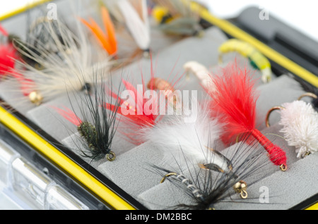 Close up of fly fishing flies in box Stock Photo