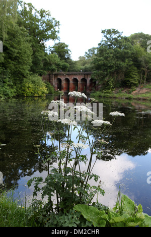 The Viaduct Bridge in Hampstead Heath. The Heath is a large park in North London covering 790 acres of green public space. Stock Photo