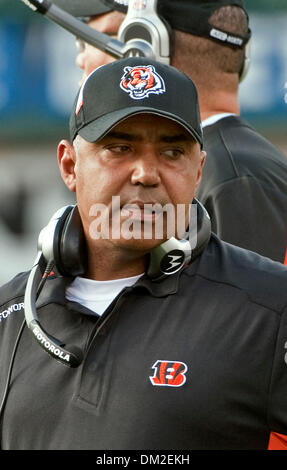 Cincinnati Bengals head coach Marvin Lewis in an NFL football game ...