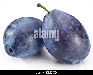 Two plums isolated on a white background. Stock Photo