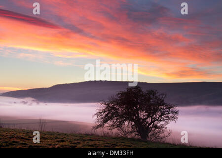 Middleham, Yorkshire, UK. 11th December 2013.  Early morning Weather at Dawn with mist, Fog & Inversion Layer.  Sunrise over moorland in the North Yorkshire Dales. A temperature inversion is a meteorological phenomenon in which air temperature increases with height for some distance above the ground, as opposed to the normal decrease in temperature with height. Stock Photo