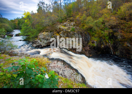 Shin Falls, Great Britain, Europe, Scotland, wood, forest, river, flow, waterfall, cataract, Stock Photo