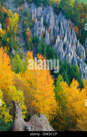 Ritten geomorphology Italy Europe Trentino South Tirol earth pillar geology erosion forms nature cliff wood forest autumn Stock Photo
