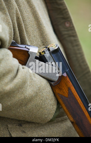 A man holding a 12 bore or gauge shotgun on a pheasant shoot in England Stock Photo