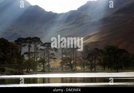 Lake Buttermere, and Scots pines (sentinels)  with shafts of sunlight, Lake District National Park, Cumbria, England, UK. Stock Photo