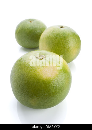 Green Grapefruit, Citrus Sweetie Stock Photo