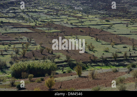 Morocco, Anti Atlas, crops on the road going from Tafraoute to Agadir Stock Photo