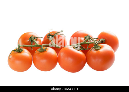 Tomatoes on vine Stock Photo