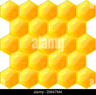 Honeycomb, isolated on the white. Vector. Stock Vector