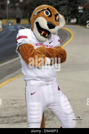 Washington State Cougars on X: Your mascot could never Happy  #NationalMascotDay to the best! We love you @ButchTCougar ❤️   / X