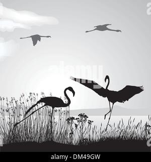 Flamingo on lake shore Stock Vector