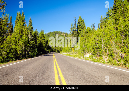 Highway passing through a beautiful green pine tree forest in Central Oregon Stock Photo