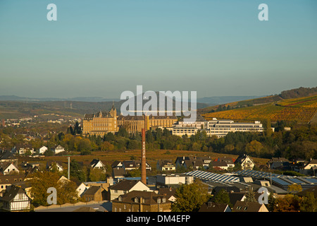 Ahrtal Ahrweiler cultivation outhouse surface grow cultivate outside mountain slope Germany Eifel Europe autumn autumn colors Stock Photo