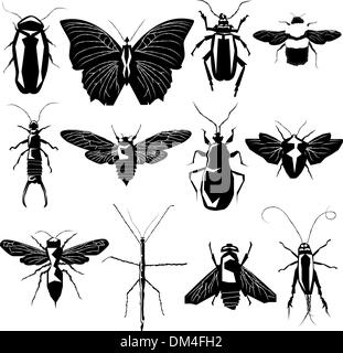 Insects vector illustration Stock Vector