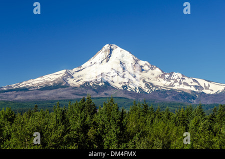 Snow capped Mt. Hood rising high above a forest Stock Photo