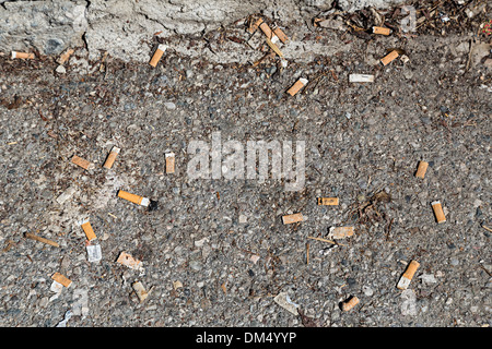 Discarded cigarette ends thrown away, Germany Stock Photo