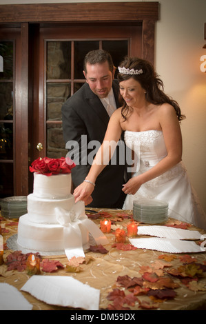 Newlyweds cutting wedding cake. Stock Photo