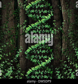 DNA nature symbol as a dark tree forest growing a green vine in the shape of a genetic double helix icon as a metaphor for biological technology and the science of biology in the natural world. Stock Photo